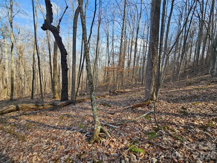 00 Red Wolf Run Road #E-7, Mars Hill, NC 28754 - #3
