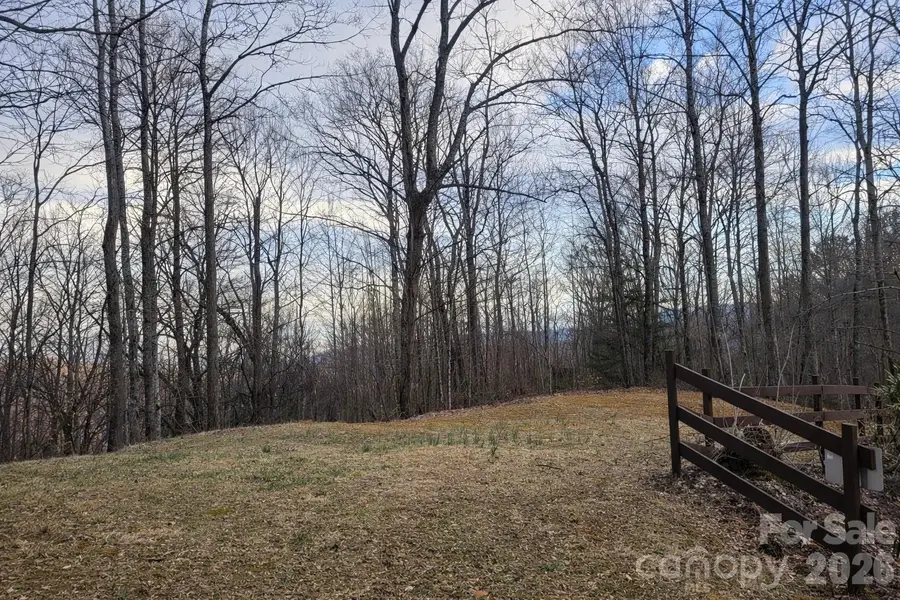 00 Upward Way #1, Waynesville, NC 28785 - #3