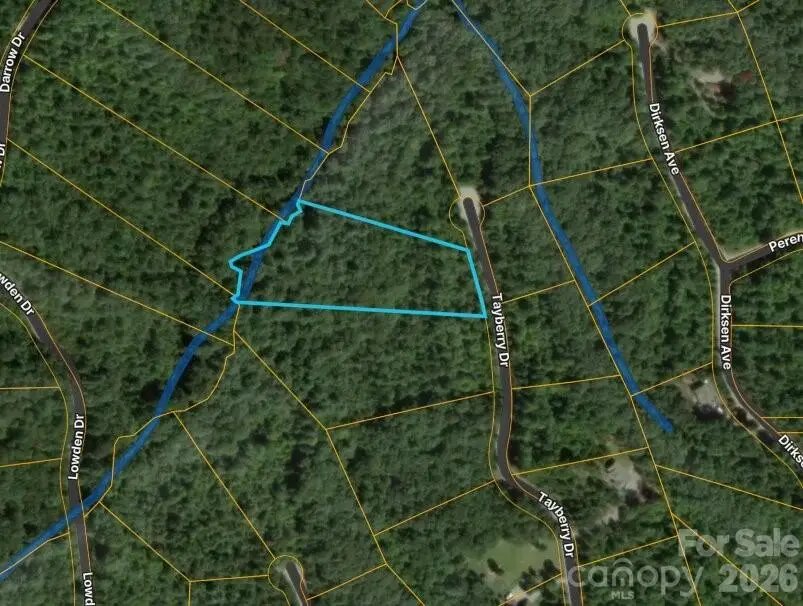 0 Tayberry Drive, Nebo, NC 28761 - #1