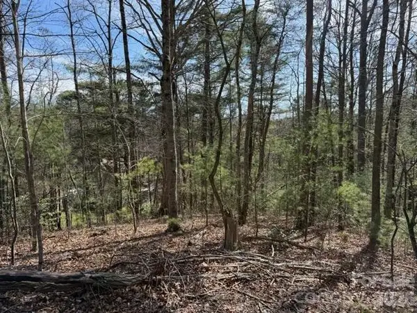 2 Frontier Court, Asheville, NC 28805