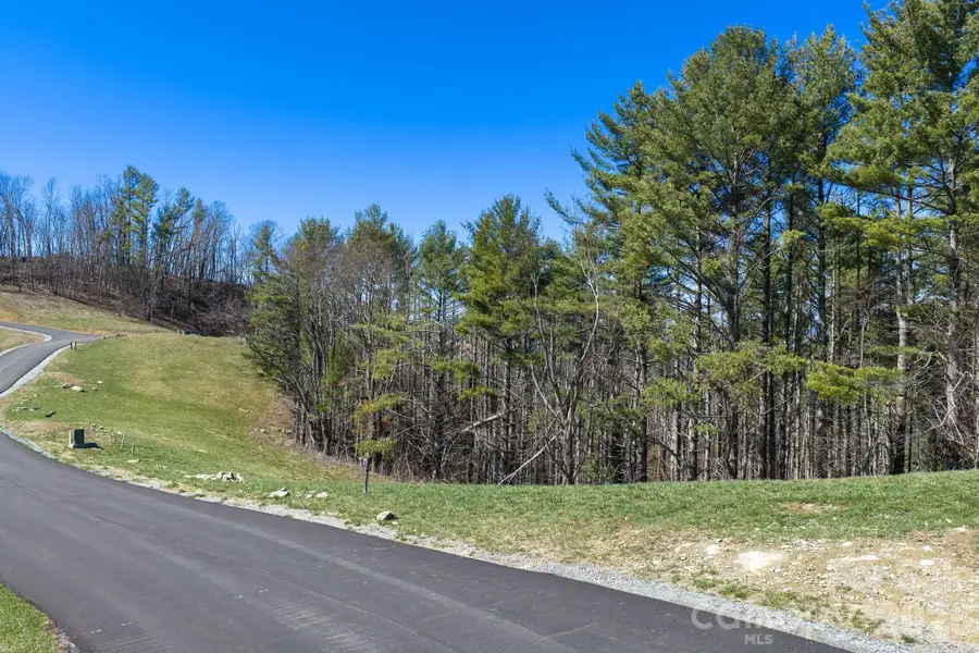 52 Clouds Rest Drive #52, Elk Park, NC 28622 - #2