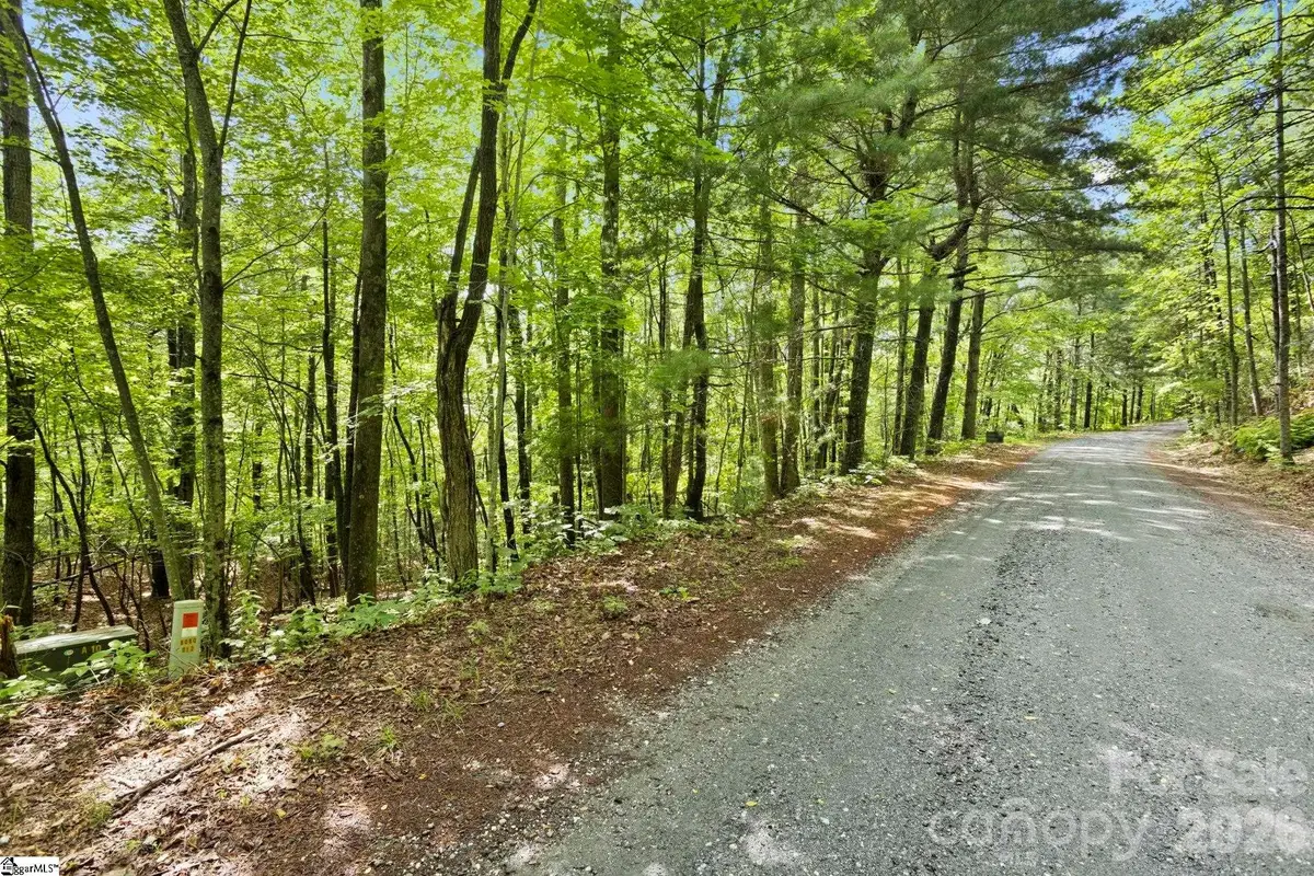 430 N Lakeview Drive, Tryon, NC 28773 - #1