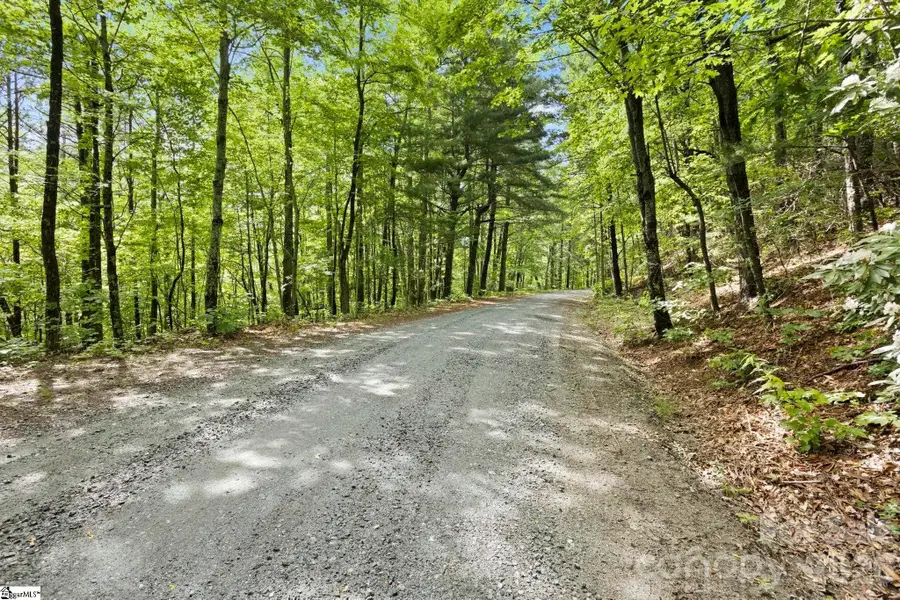 430 N Lakeview Drive, Tryon, NC 28773 - #2