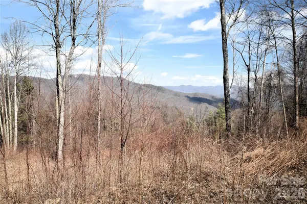 000 Curry Comb Trail #513, Waynesville, NC 28785