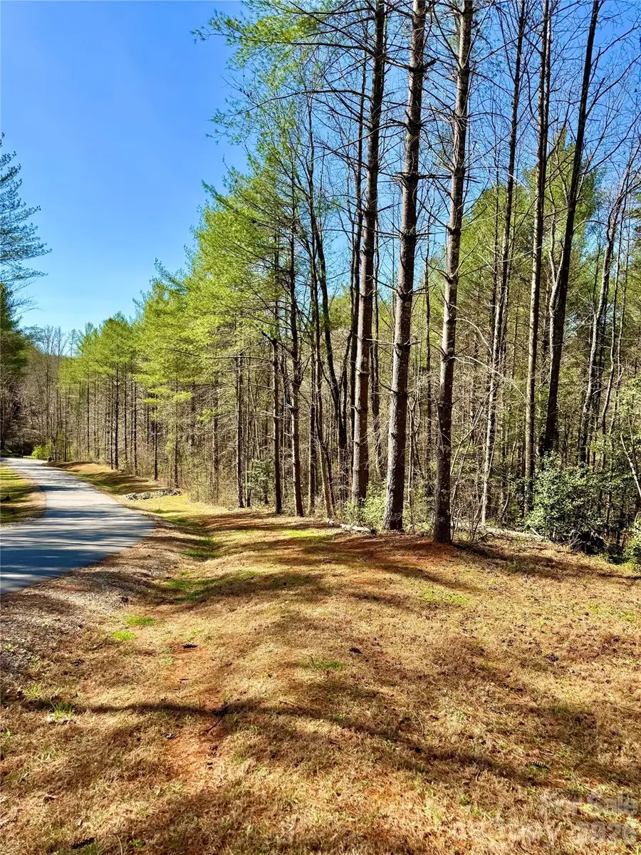 6129 Painted Ridge Trail #Lot 739, Lenoir, NC 28645 - #3