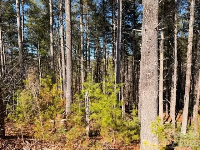 32 Clear View Way #133 PH 2, Nebo, NC 28761 - #3