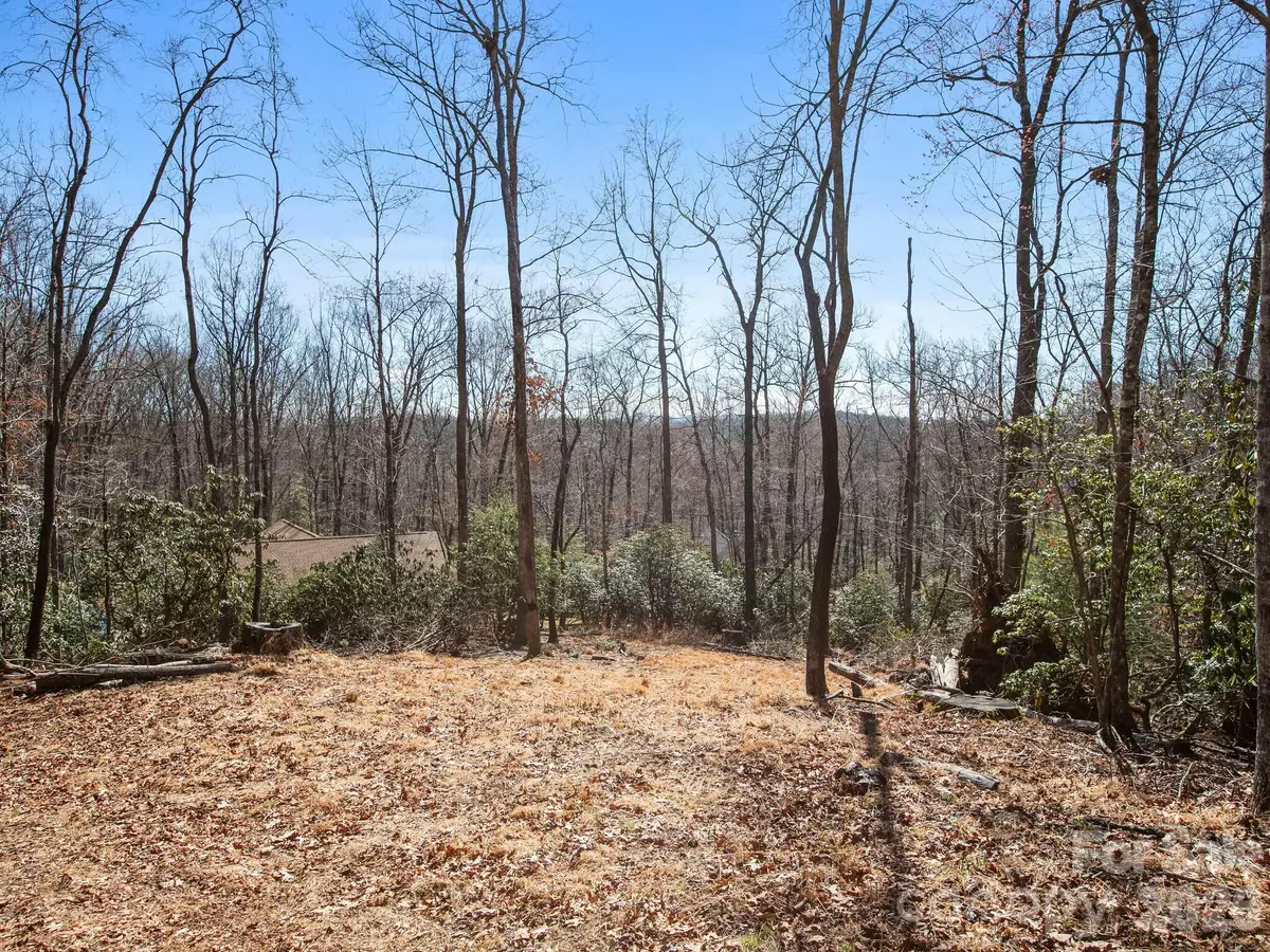 0 Alpen Rose Way #2, Mills River, NC 28759 - #1