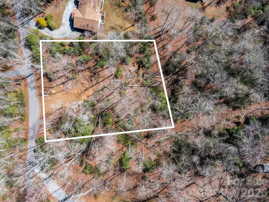 0 Alpen Rose Way #2, Mills River, NC 28759 - #3