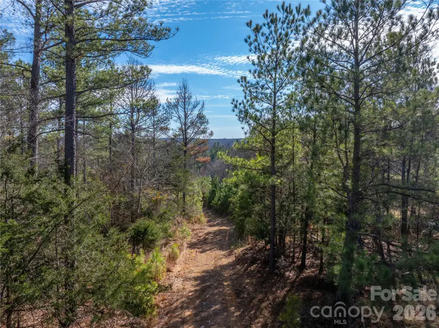 0000 Quarter Round Road #8, Pacolet, SC 29372 - #3