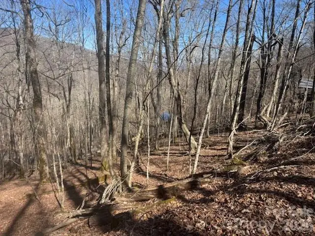 11 Zebulon Lane, Mars Hill, NC 28754 - #3