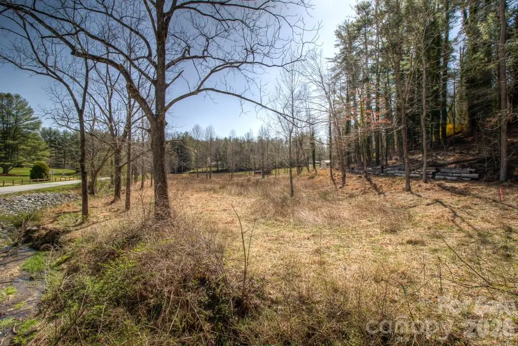 9999 Kanuga Lake Road, Hendersonville, NC 28739 - #1