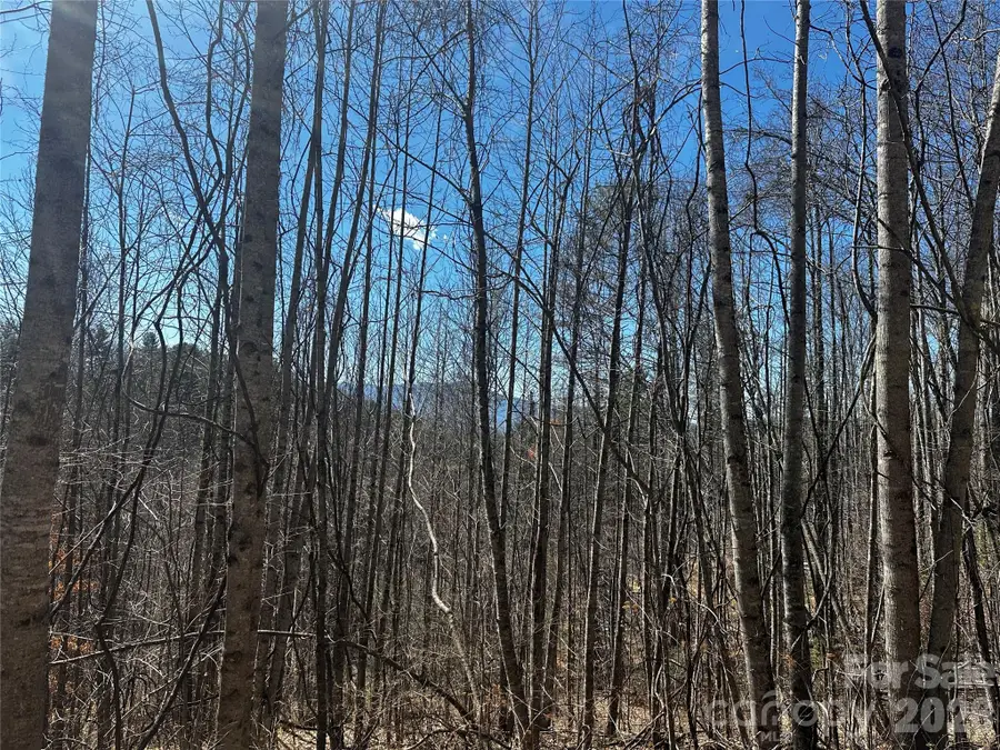 00 Grace Ridge Road, Bakersville, NC 28705 - #2