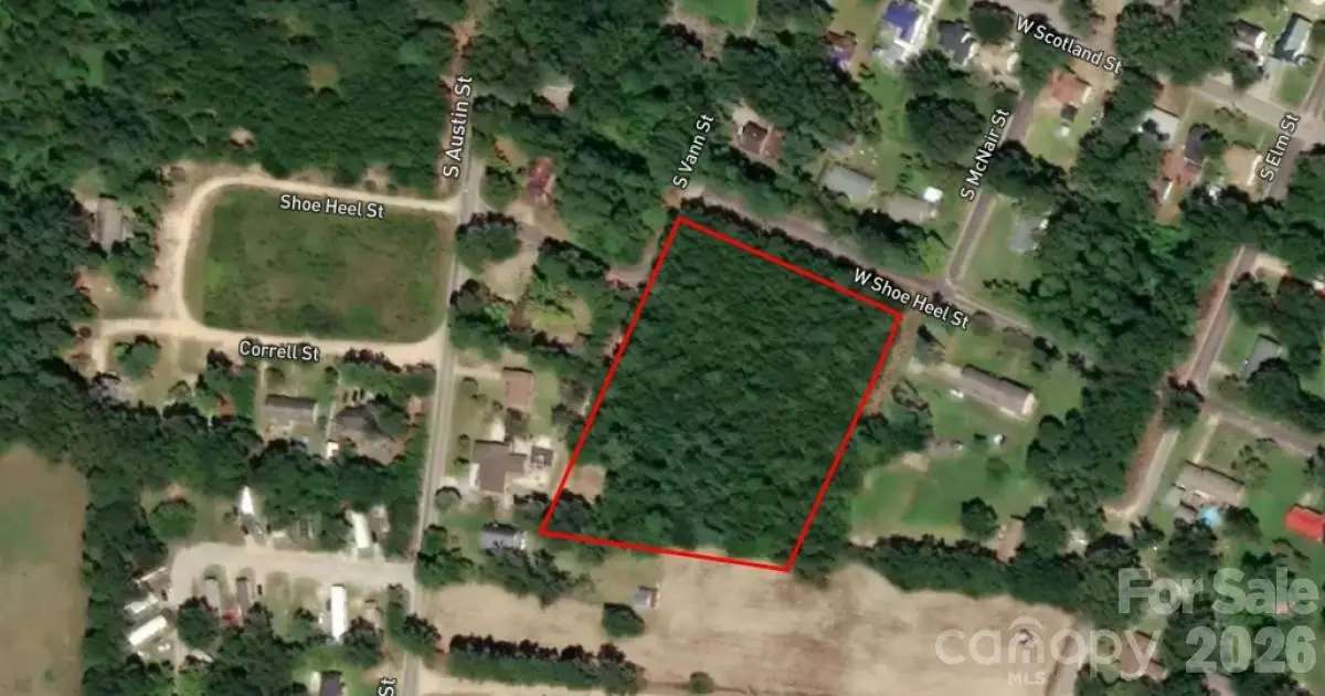 0 Shoe Heel Street W, Maxton, NC 28364 - #1