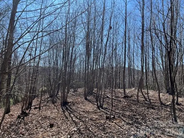 803254 Ivy Road #219, Mills River, NC 28759 - #2