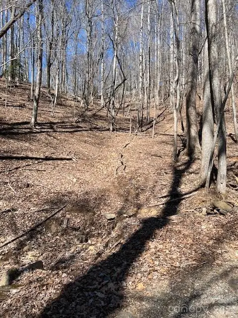 803254 Ivy Road #219, Mills River, NC 28759 - #3