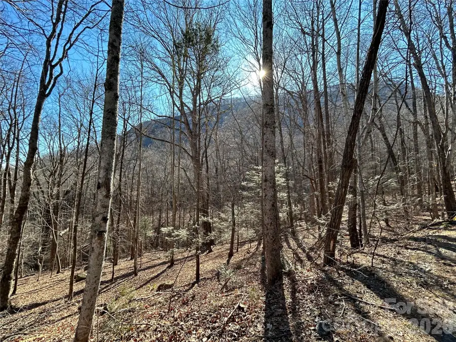Lot 229 Swallow Lane, Lake Lure, NC 28746 - #2