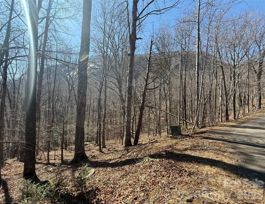 Lot 229 Swallow Lane, Lake Lure, NC 28746 - #3