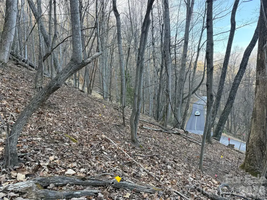 Lot #117 Honey Locust Drive, Mills River, NC 28759 - #2