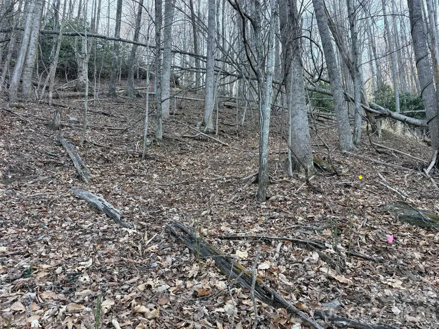 Lot #117 Honey Locust Drive, Mills River, NC 28759 - #3