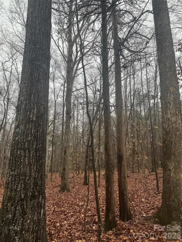 8223 Walkup Road, Waxhaw, NC 28173