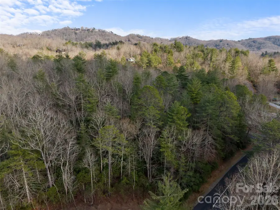 TBD Tsvwagi Court #2/25, Brevard, NC 28712 - #3