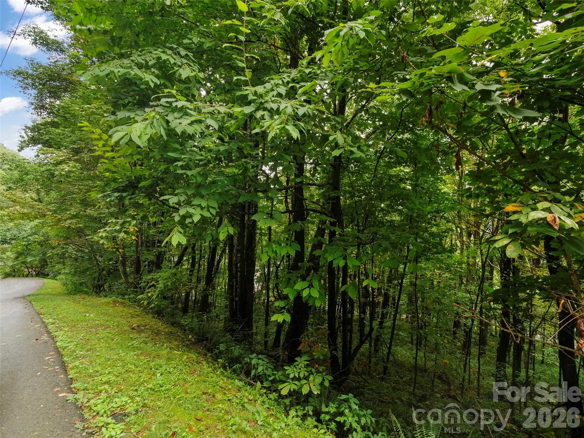 Lot 28 Jefferson Lane, Waynesville, NC 28786 - #1