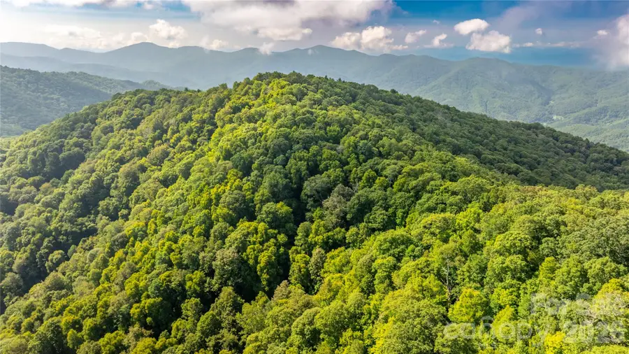 99999 East Alarka Road, Bryson City, NC 28713 - #2
