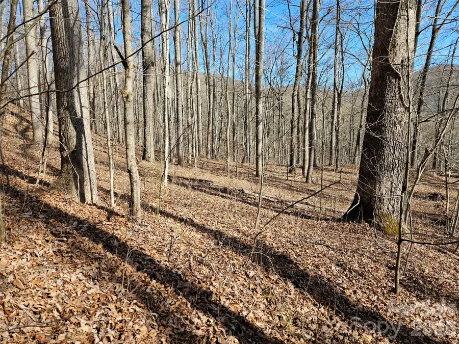 262 Si Knob Road, Cullowhee, NC 28723 - #3