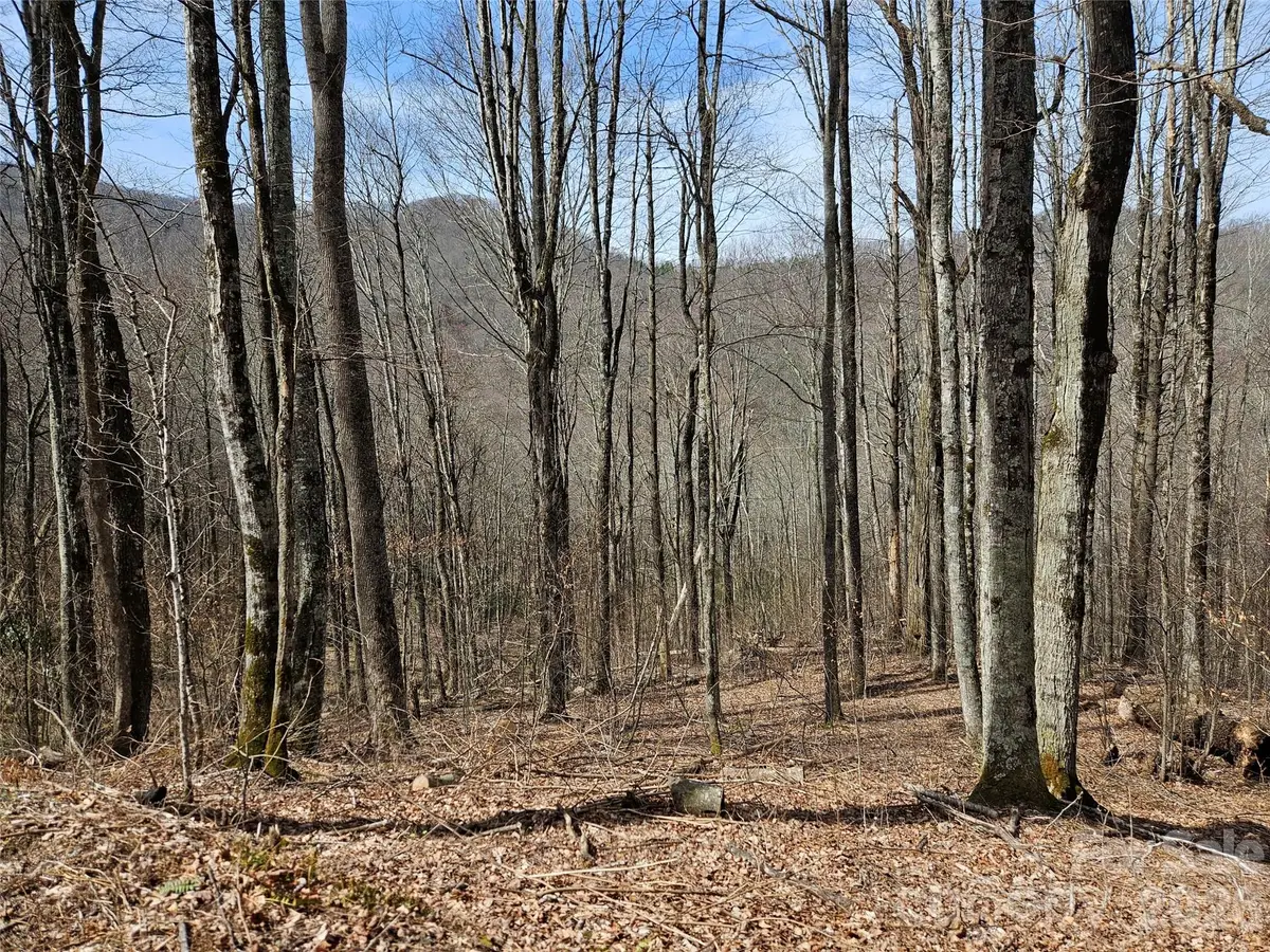 000 Forbidden Cove, Waynesville, NC 28785 - #1