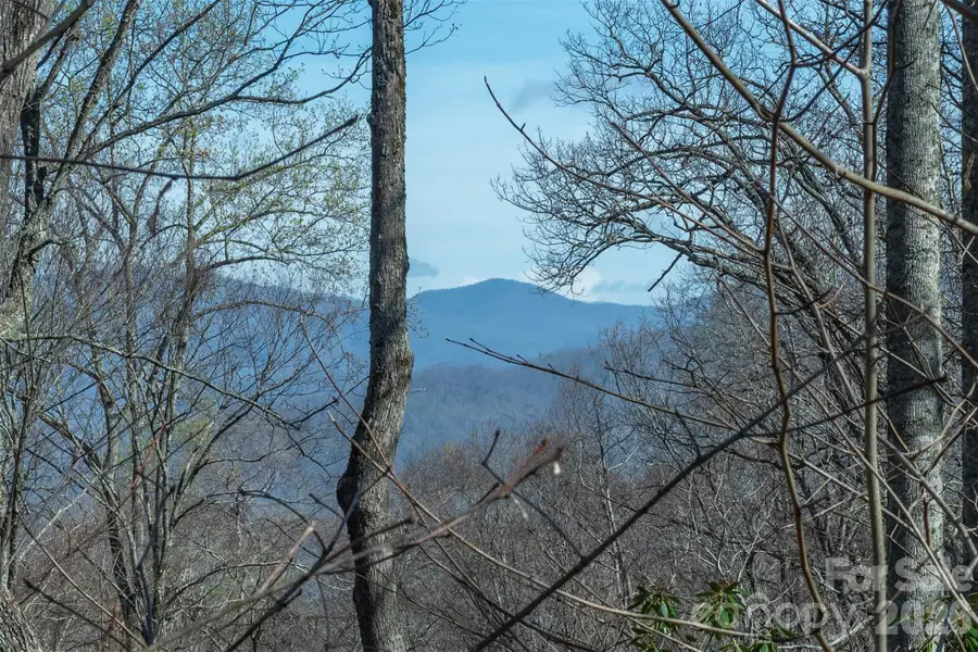 1279 Arborcrest Way #38, Swannanoa, NC 28778 - #2