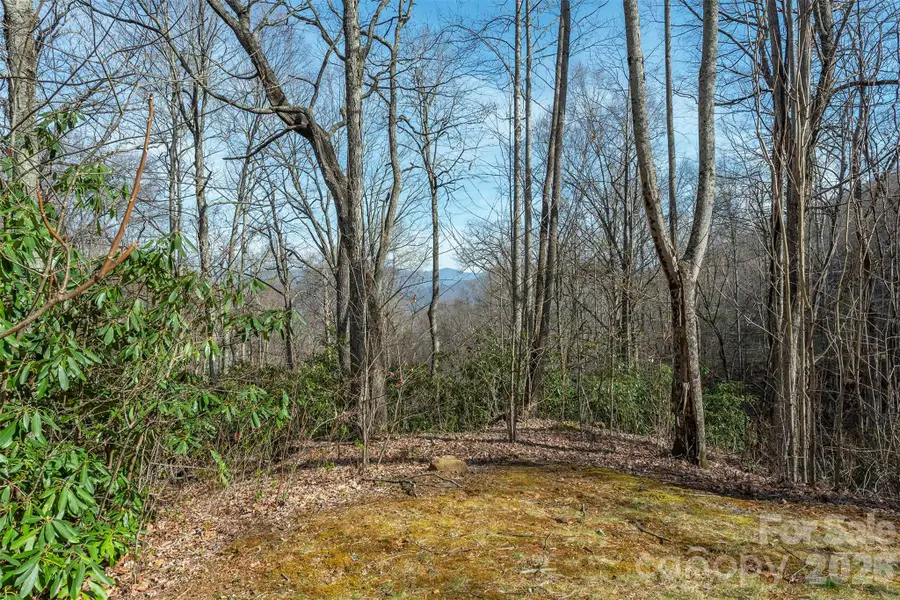 1279 Arborcrest Way #38, Swannanoa, NC 28778 - #3