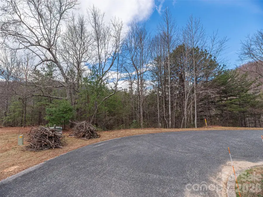 102 Trillium Lane #C-3, Black Mountain, NC 28711 - #2