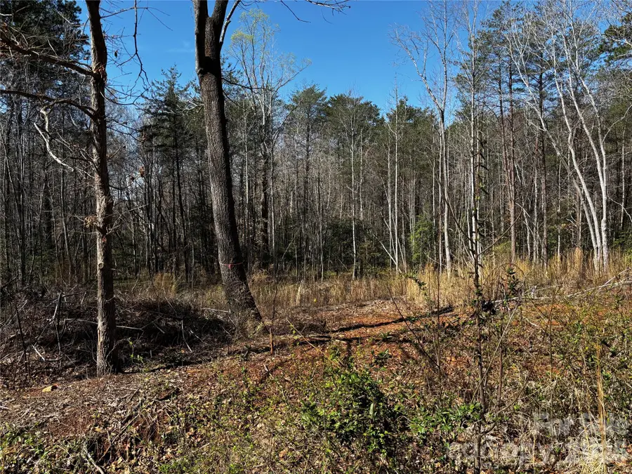 1467 Graycrest Drive, Catawba, NC 28609 - #2