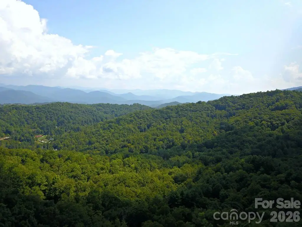 0 Mountain Forest Estates Road, Sylva, NC 28779 - #1