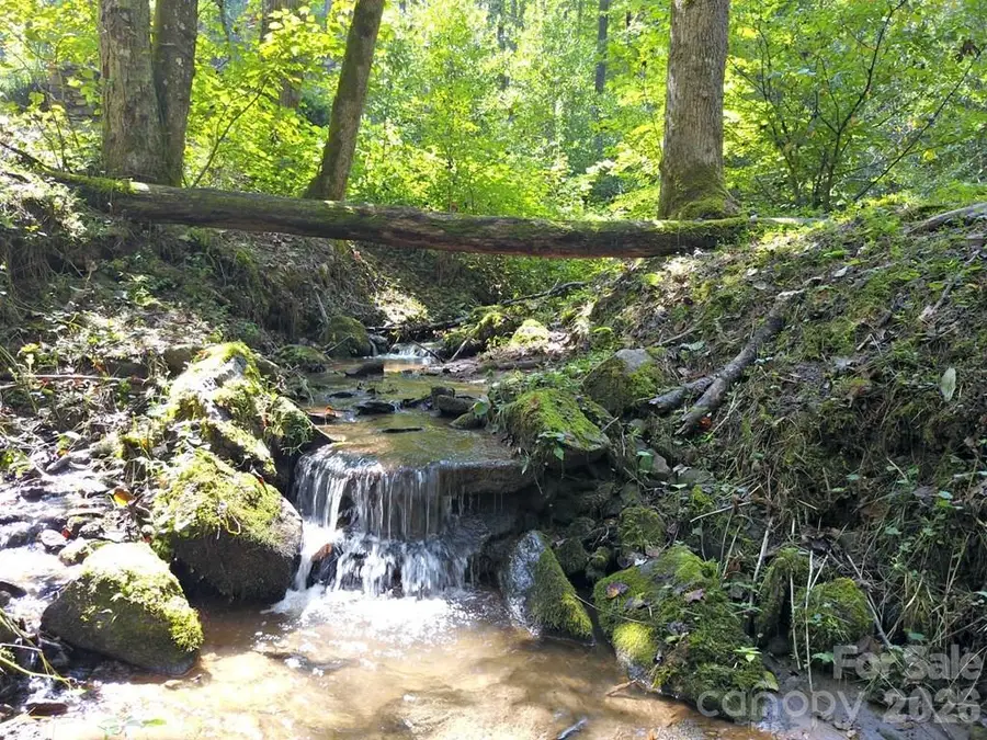 0 Mountain Forest Estates Road, Sylva, NC 28779 - #3