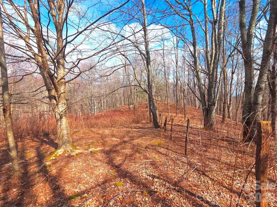 250 Rome Beauty Road #TR5, Waynesville, NC 28785 - #2