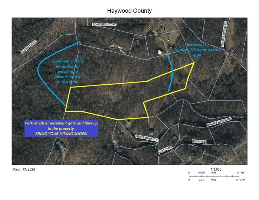 250 Rome Beauty Road #TR5, Waynesville, NC 28785 - #3