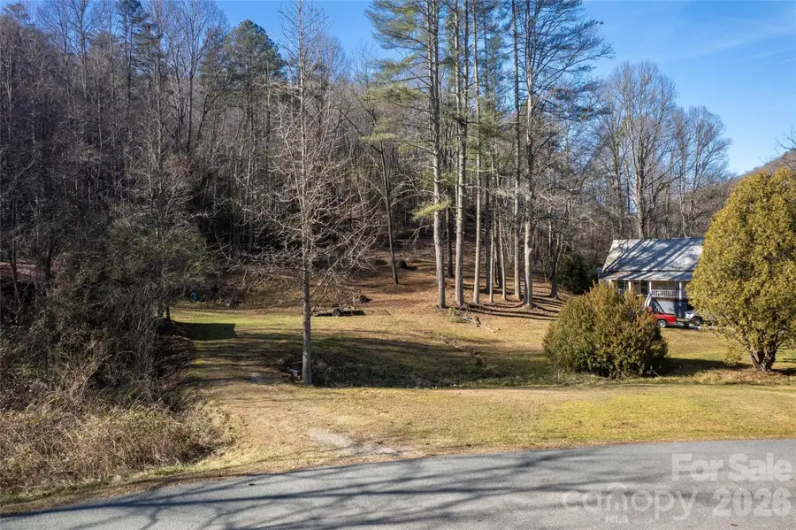 70 Earls Road, Bryson City, NC 28713 - #3