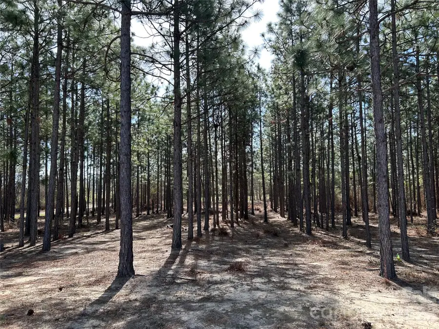 1266 Scott Road, Kershaw, SC 29067 - #2