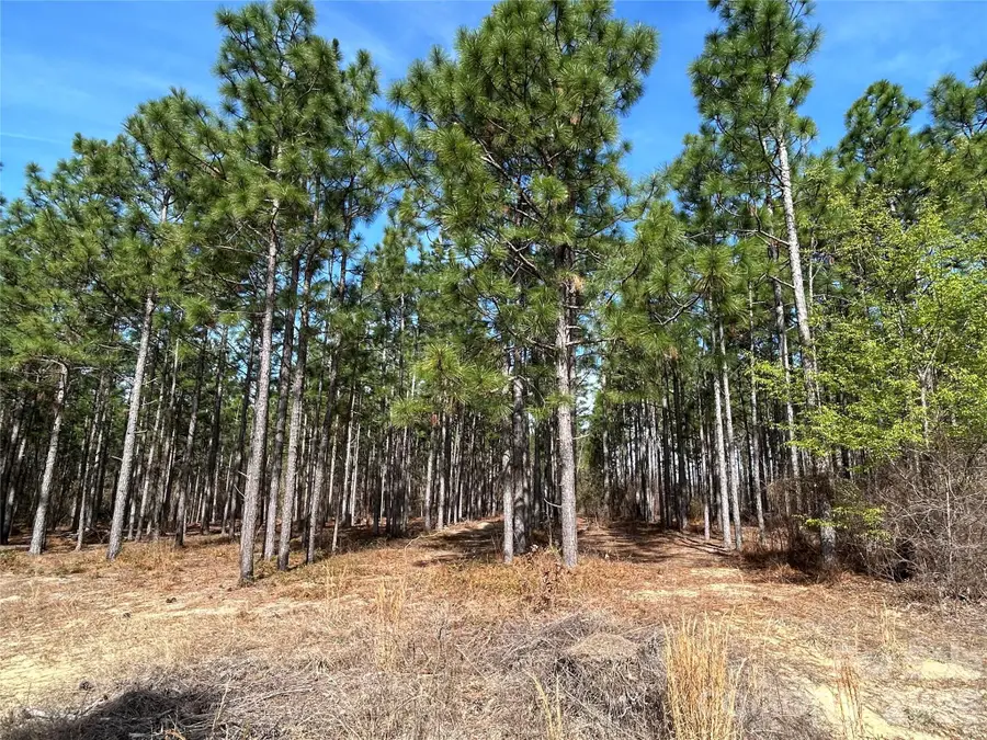 1266 Scott Road, Kershaw, SC 29067 - #3