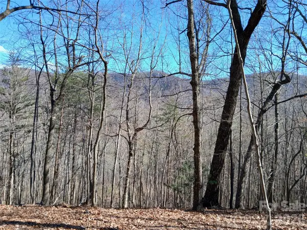 00 Piney Gate Road #39, White Oak, NC 28773