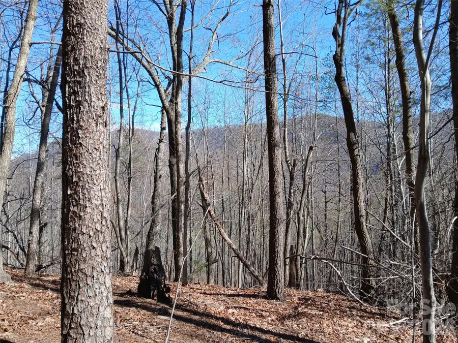 00 Piney Gate Road #39, Saluda, NC 28773 - #2