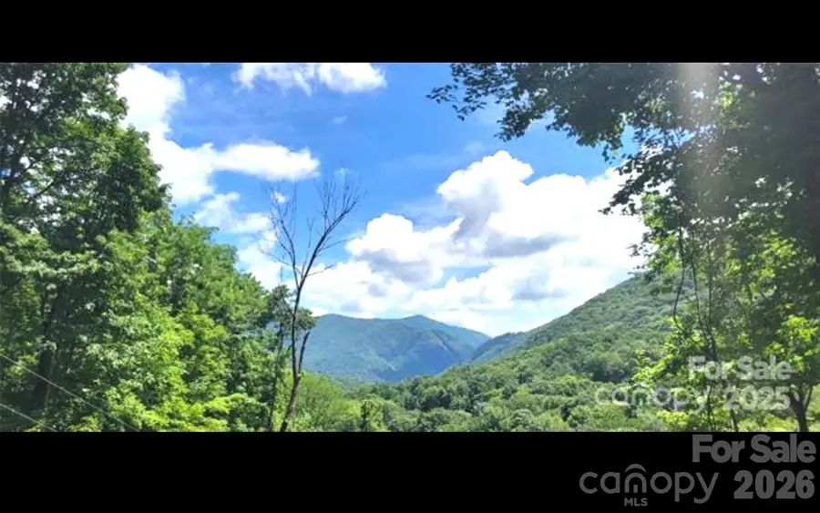 000 Wayah Zooshuga Road, Maggie Valley, NC 28751 - #3