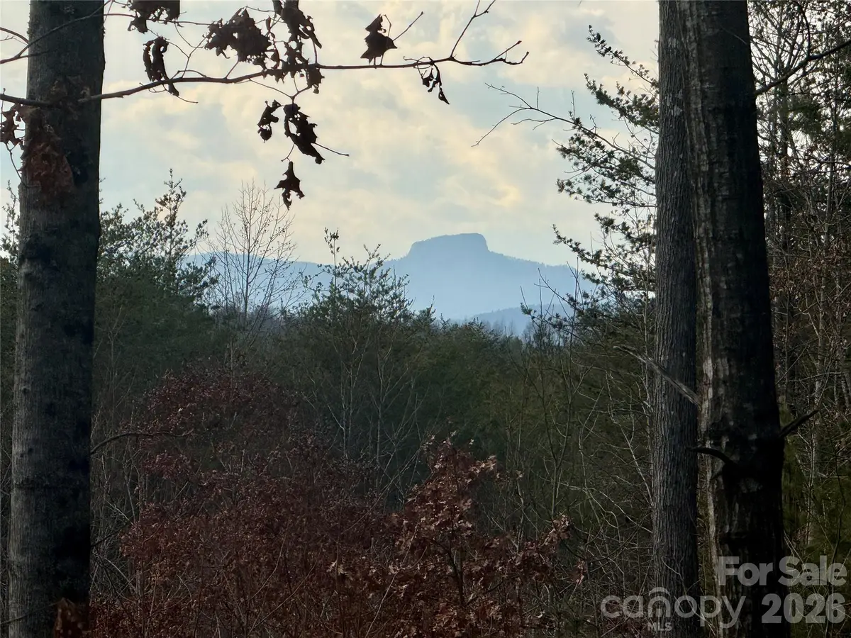 913 High Valley Way #913, Lenoir, NC 28645 - #1