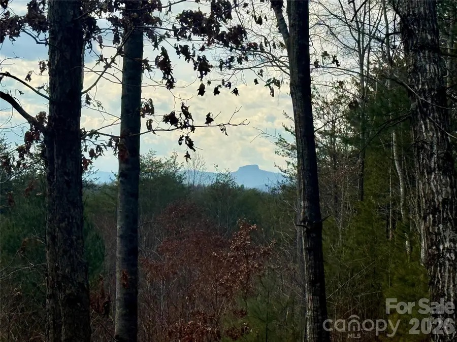 913 High Valley Way #913, Lenoir, NC 28645 - #2