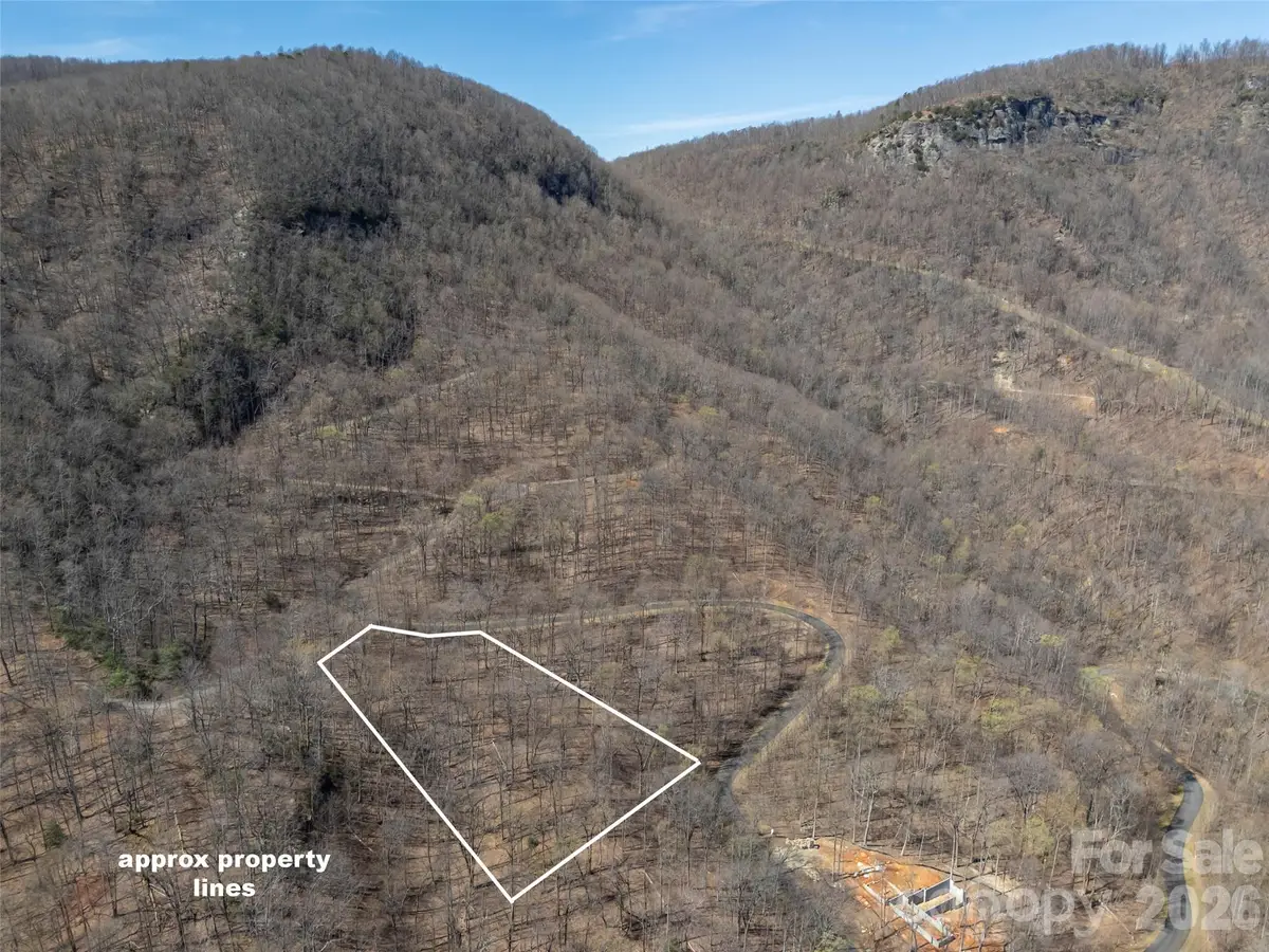 Lot 2130 Weaverly Lane, Mill Spring, NC 28756 - #1