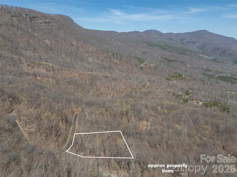 Lot 2130 Weaverly Lane, Mill Spring, NC 28756 - #3