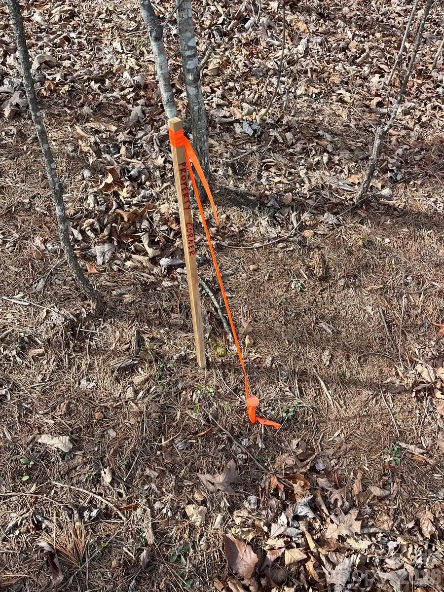 165 Katies Way, Nebo, NC 28761 - #2