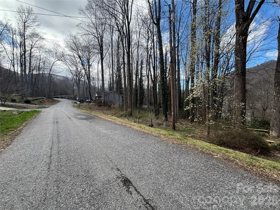 TBD Ash Drive #14, Maggie Valley, NC 28751 - #2