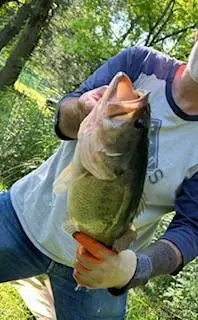 132 Hurd Road, Canton, NC 28716 - #3